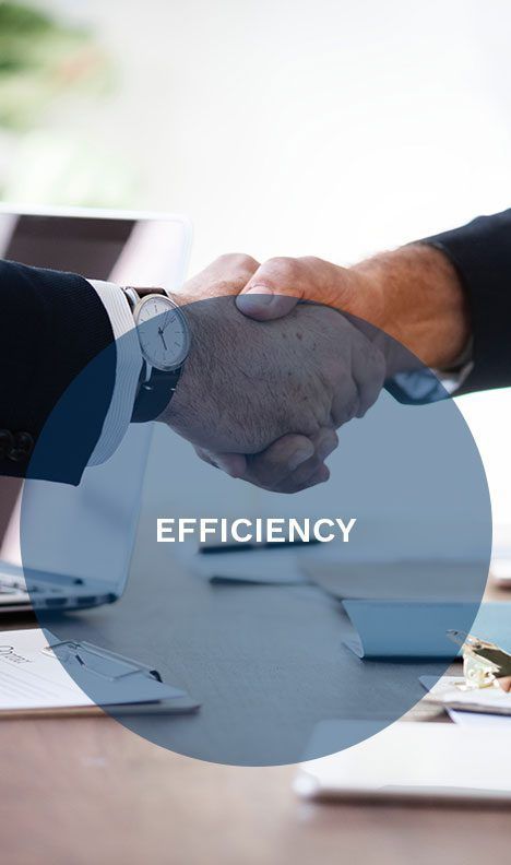 Values: Efficiency