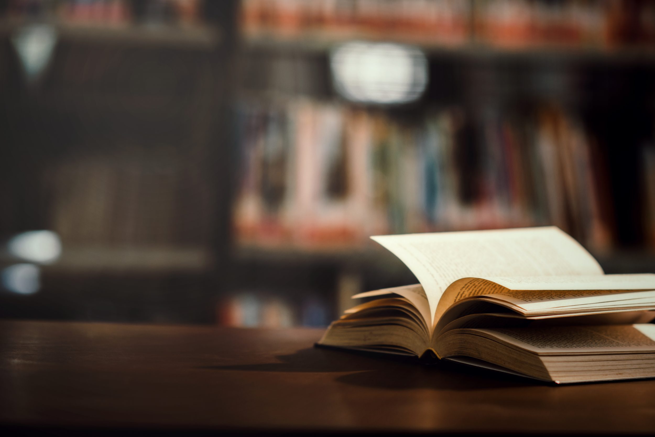 cambios nueva ley Navarro Llima Abogados zaragoza libro abierto