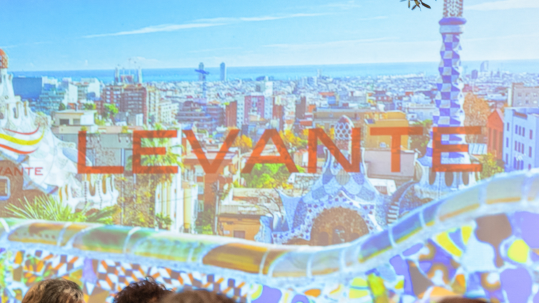 Levante S.A Navarro Llima Abogados Zaragoza Japón Inversión