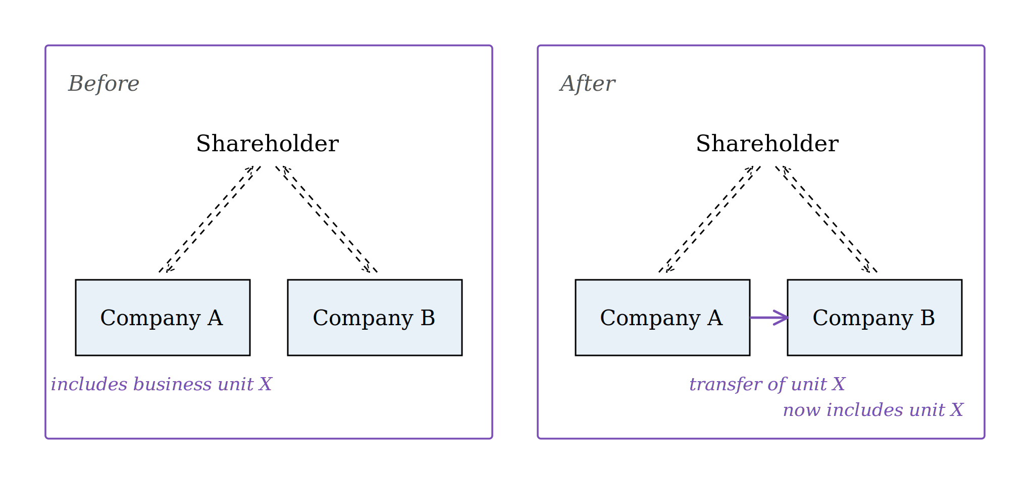 Diagram division of twin companies Navarro Llima Abogados